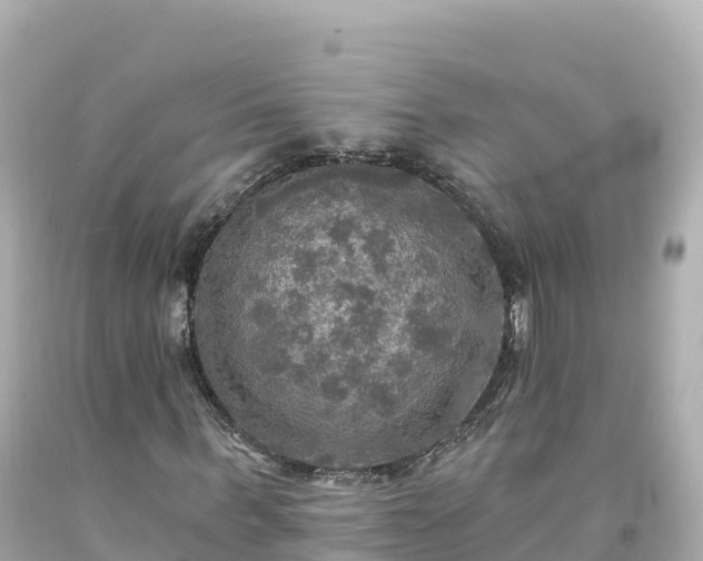 X0000094210963200711021112