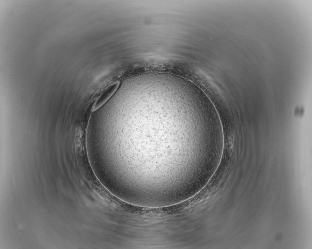 X0000094210964200711021112