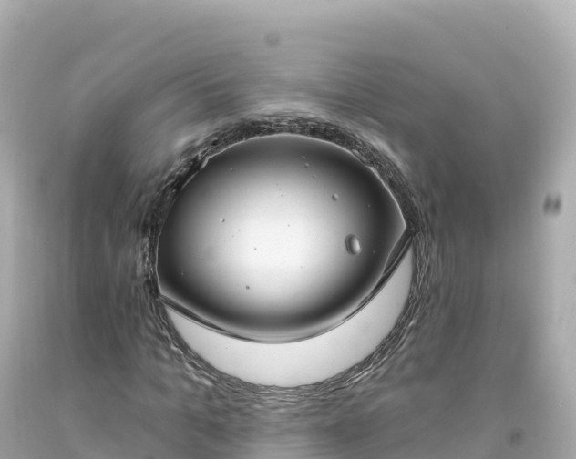 X0000094210965200711021112