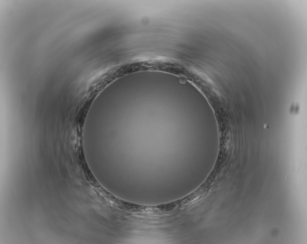 X0000094210966200711021112
