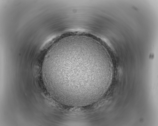 X0000094210967200711021112