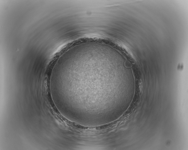 X0000094210968200711021112