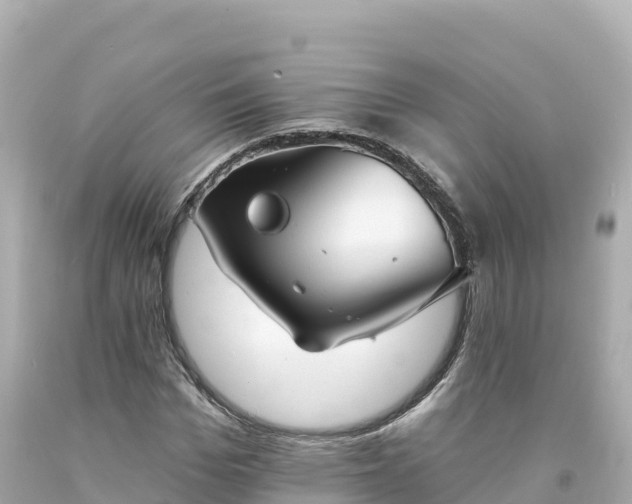 X0000094210969200711021112