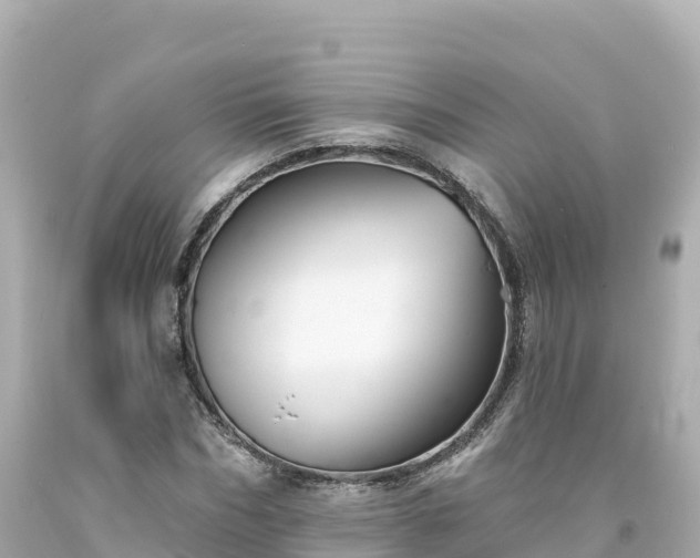 X0000094210970200711021112