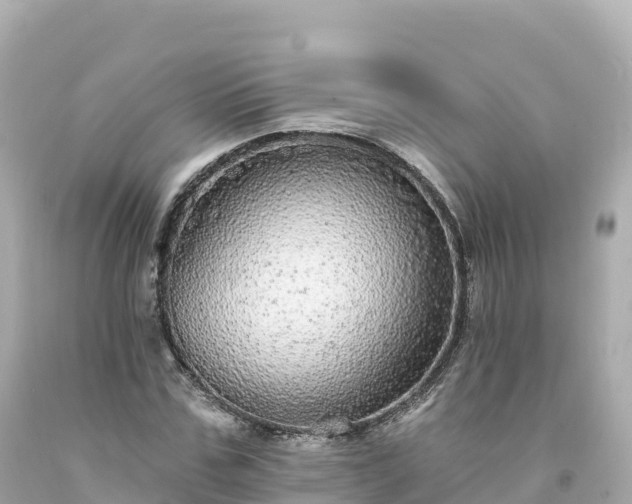 X0000094210971200711021112