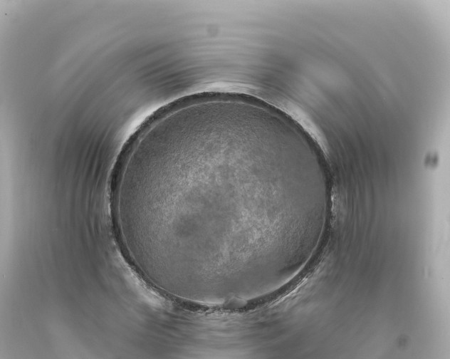 X0000094210972200711021112