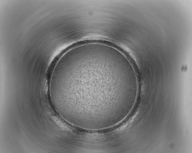 X0000094210973200711021112