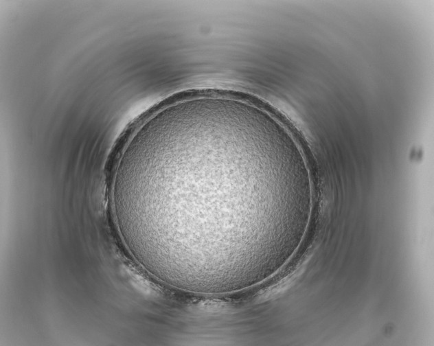 X0000094210974200711021112