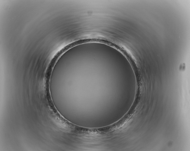 X0000094210975200711021112