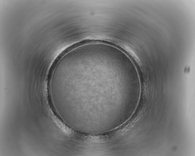 X0000094210976200711021112