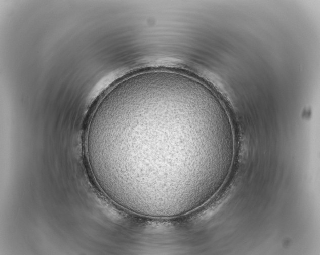 X0000094210978200711021112