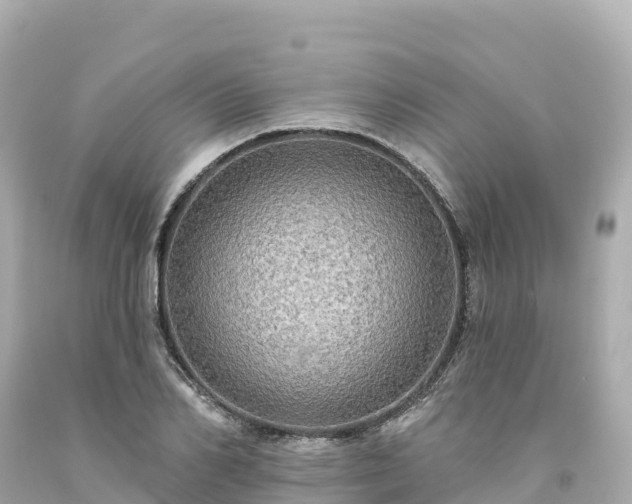 X0000094210982200711021112