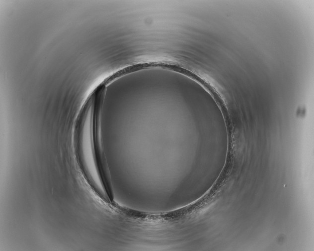 X0000094210983200711021112