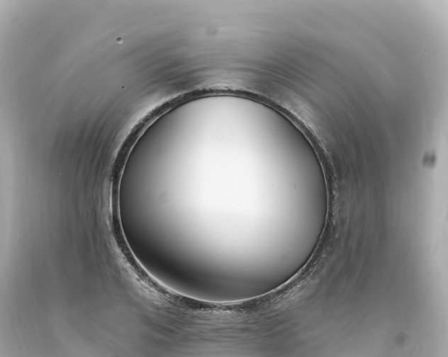 X0000094210984200711021112