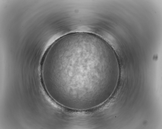 X0000094210990200711021112