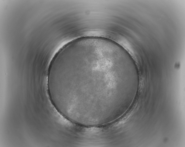 X0000094210992200711021112