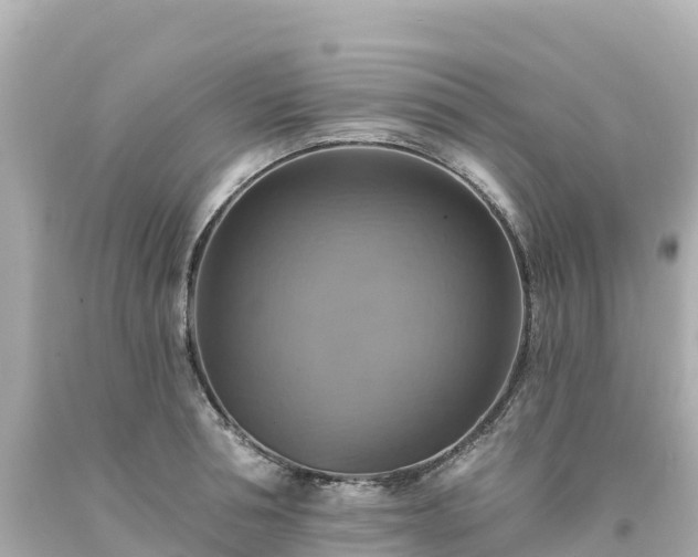 X0000094210994200711021112