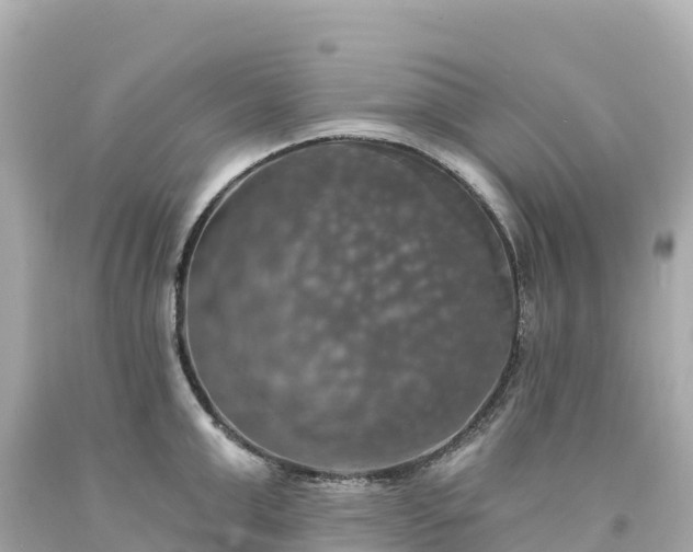 X0000094210999200711021111