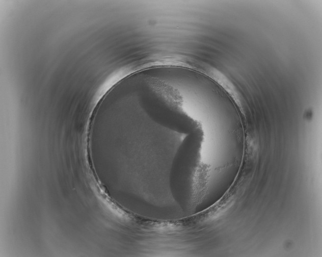 X0000094211002200711021111