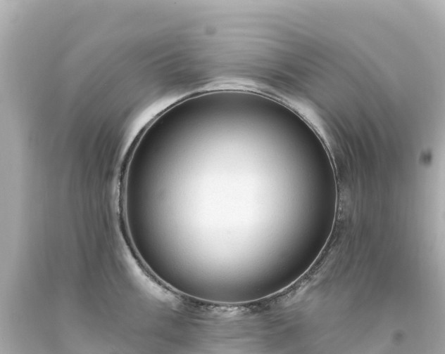 X0000094211003200711021111