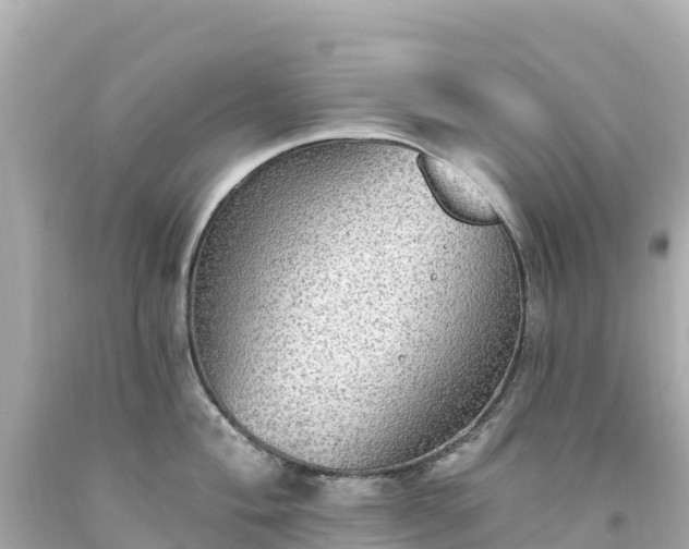 X0000094211004200711021111