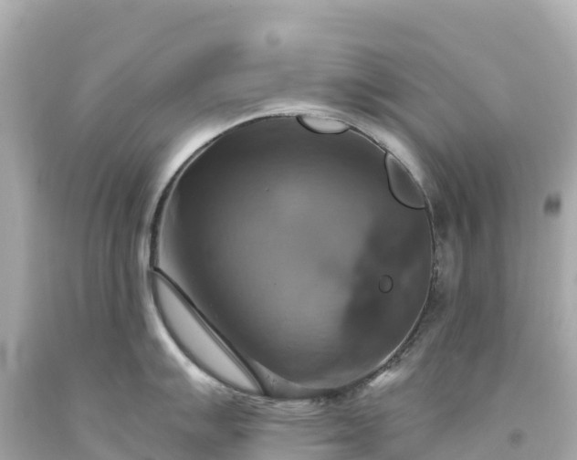 X0000094211007200711021111