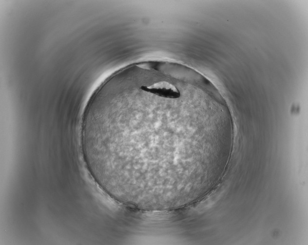 X0000094211008200711021111