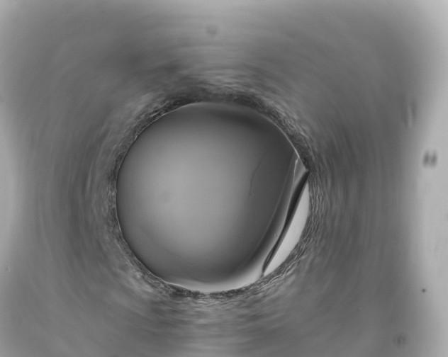 X0000094211009200711021111