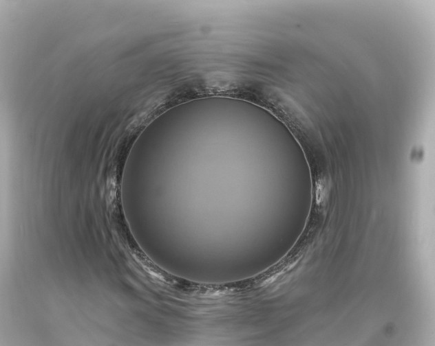 X0000094211011200711021111