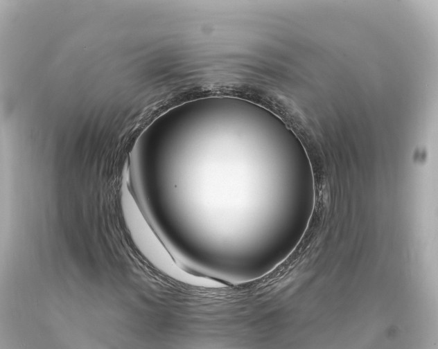 X0000094211012200711021111