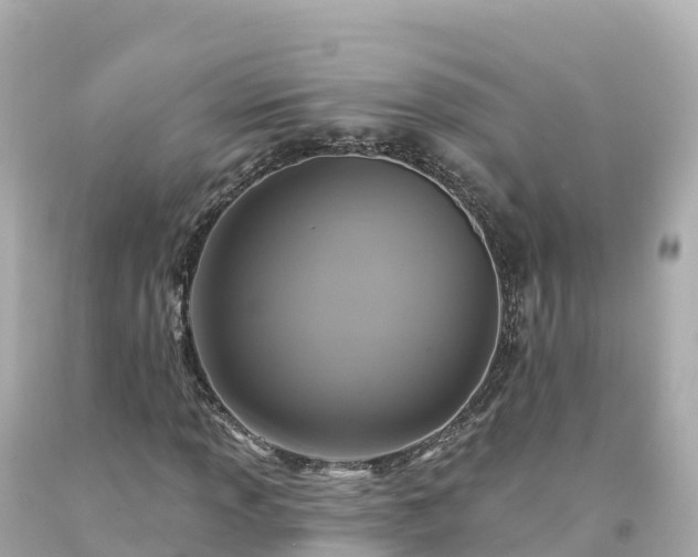 X0000094211013200711021111