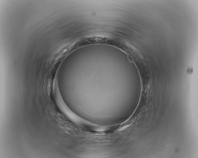 X0000094211014200711021111