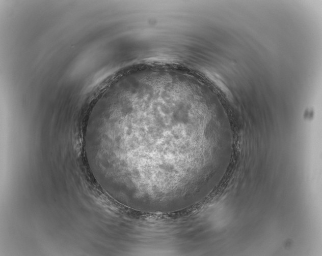 X0000094211015200711021111