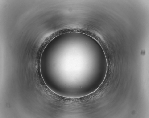 X0000094211016200711021111