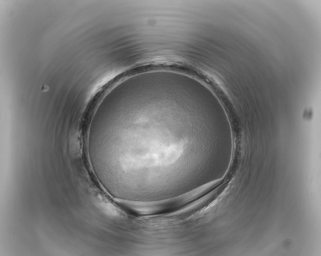 X0000094211018200711021111
