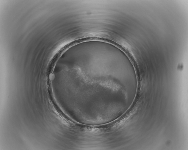 X0000094211019200711021111