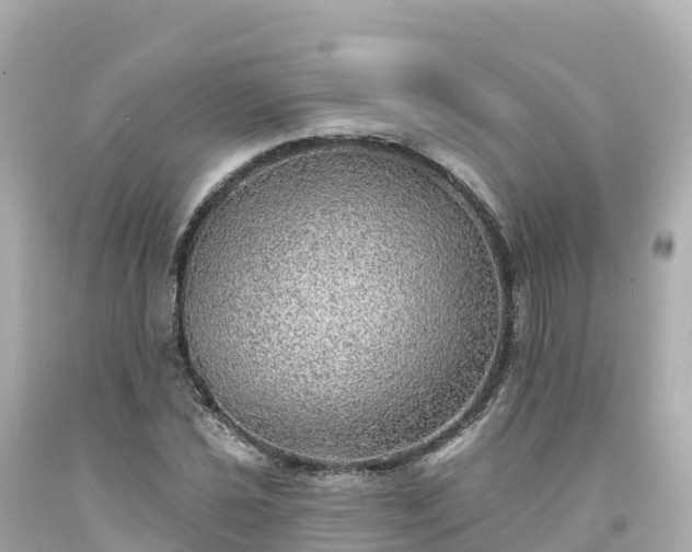 X0000094211021200711021111