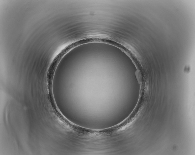 X0000094211022200711021111