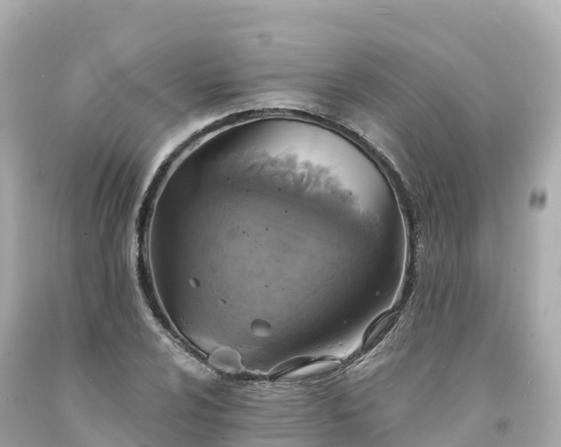 X0000094211024200711021111