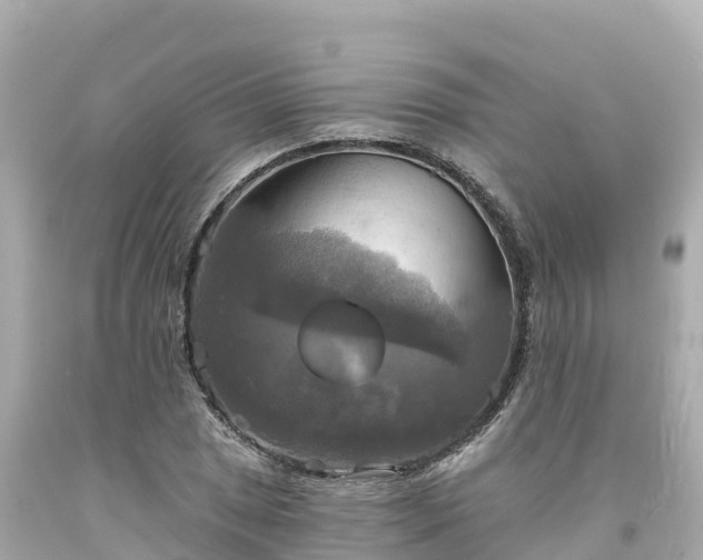 X0000094211025200711021111
