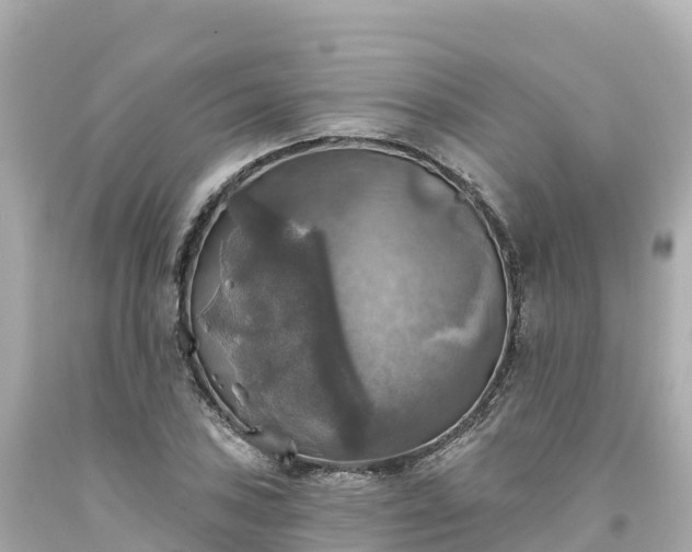 X0000094211027200711021111