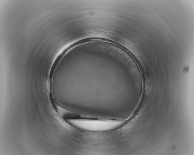 X0000094211028200711021111
