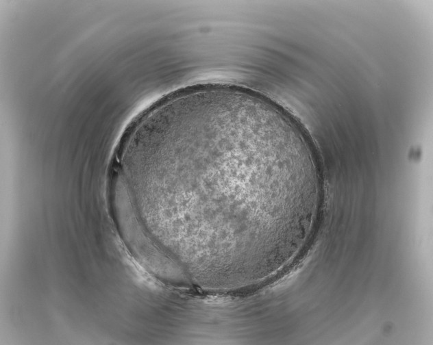 X0000094211029200711021111