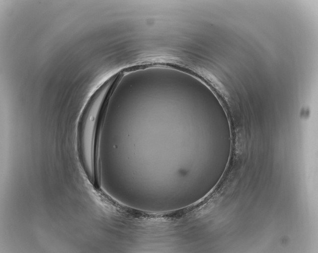 X0000094211031200711021111