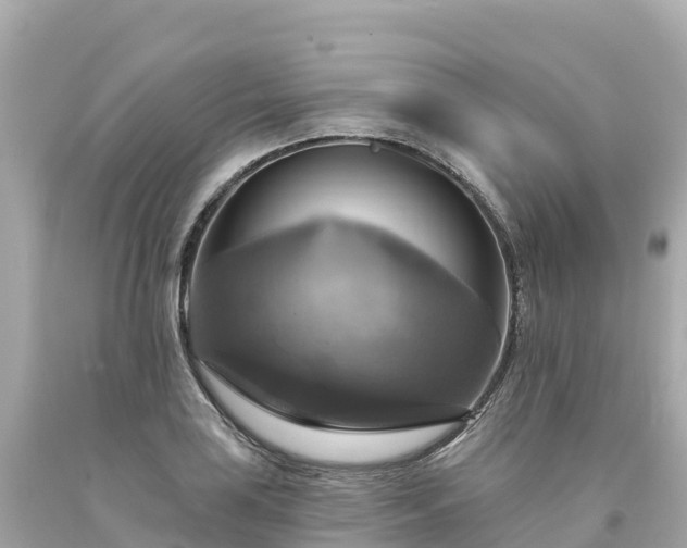 X0000094211035200711021111