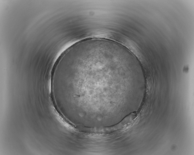 X0000094211036200711021111