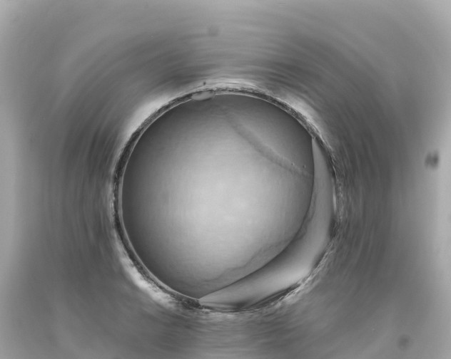 X0000094211038200711021111