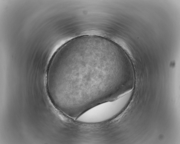 X0000094211040200711021111
