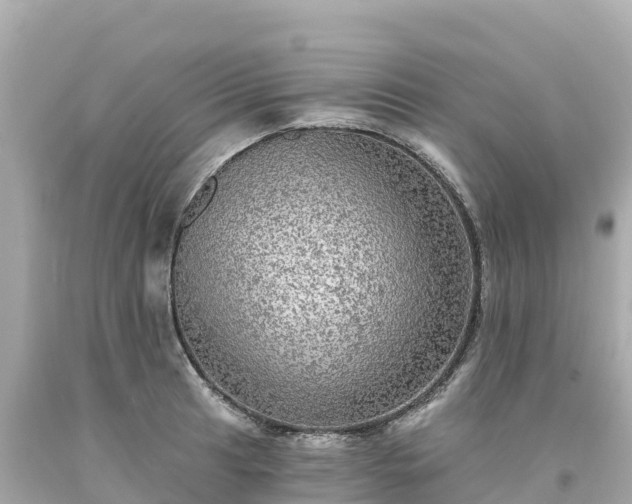 X0000094211041200711021111