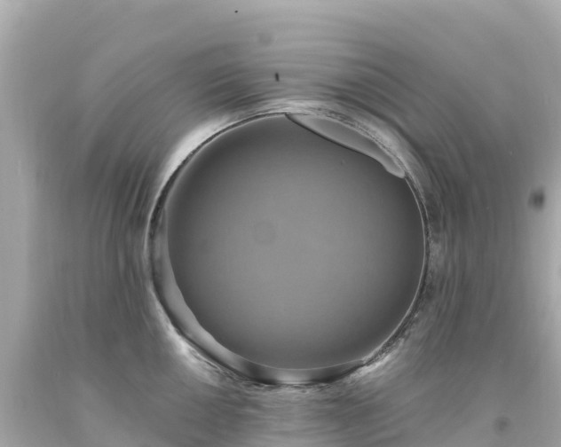 X0000094211050200711021111